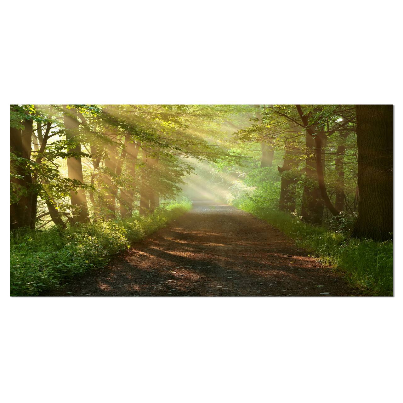 Designart - Suns Peeks into Forest - Landscape Photography Canvas Print